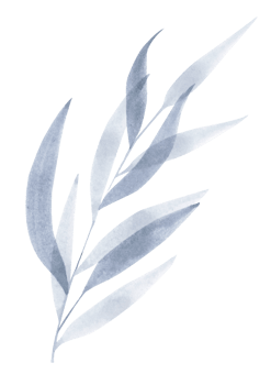 watercolor design elements of blue leaves. Botanic illustration. png