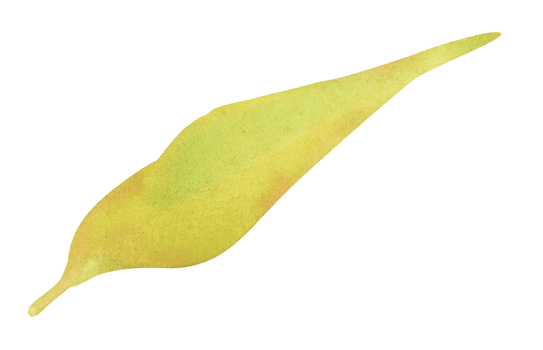 Watercolor design elements of green leaves. Botanic illustration. png