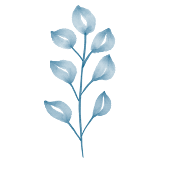 Leaf watercolor painted png
