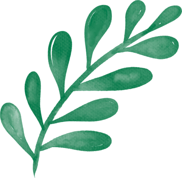 Leaf watercolor painted png