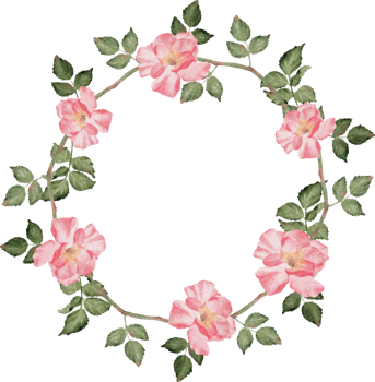 watercolor blooming pink rose branch flower bouquet wreath frame clipart png