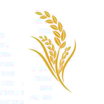 Wheat Logo template vector illustration design