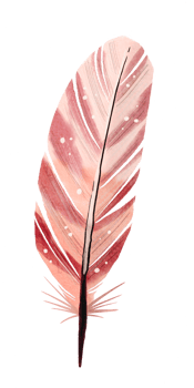 watercolor painted feather png