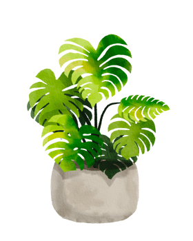 watercolor painted houseplant png