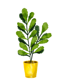 watercolor painted houseplant png