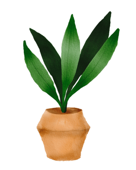 watercolor painted houseplant png