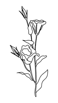 Vector illustration of hand drawn sweet orchid flower twig. Ink drawing, graphic style