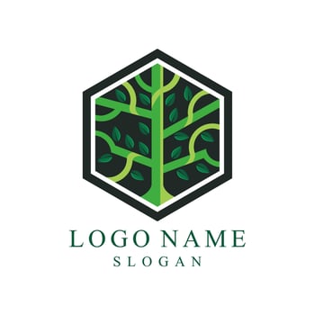 tree and leaf theme logo vector