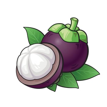 Mangosteen cartoon, Mangosteen peeled isolate on white background. vector