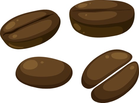 Set of different coffee beans vector