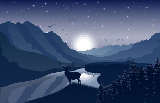 Mountain landscape with deer and forest at night vector