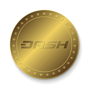 golden Dash coin vector