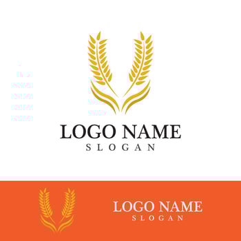 Agriculture wheat vector