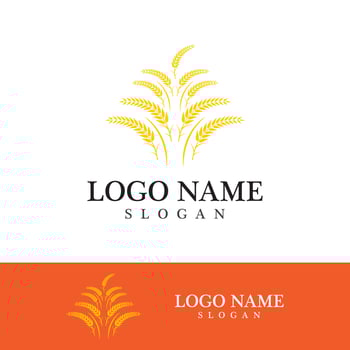 Agriculture wheat vector