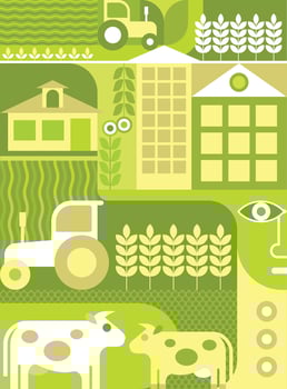Farm Vector Illustration