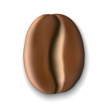 realistic coffee bean . Vector