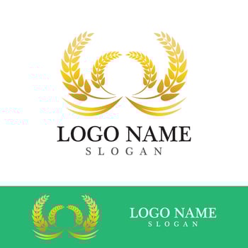 Agriculture wheat vector
