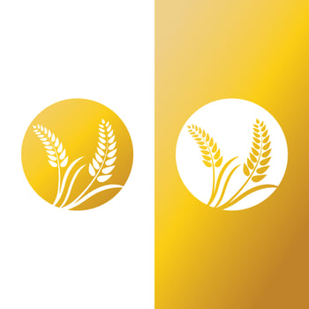 Agriculture wheat vector
