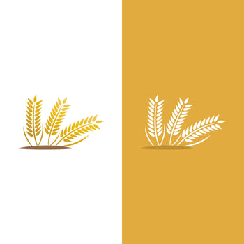 Agriculture wheat vector