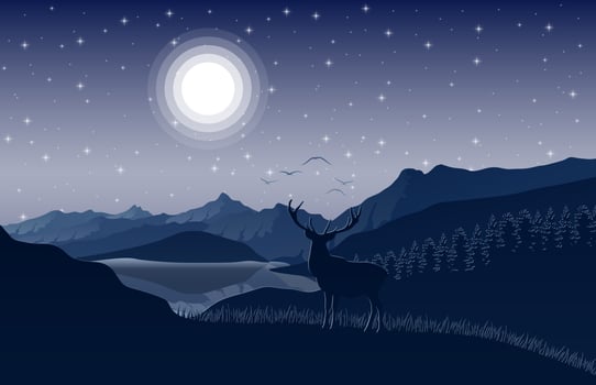 Mountain landscape with deer and forest at night vector