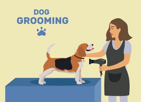 Dog grooming. Overview illustration for a salon on effects on animals. Dog beauty salon, laundry, pet grooming. cute big girl sits and dries wool. vector
