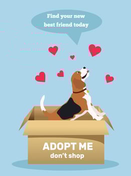 Adopt a Friend. Do not buy a pet.  Animal care, adoption concept. Help the homeless animals find a home. Help homeless animals find home concept. Lonely puppy waiting for an owner. vector