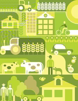 Village vector illustration