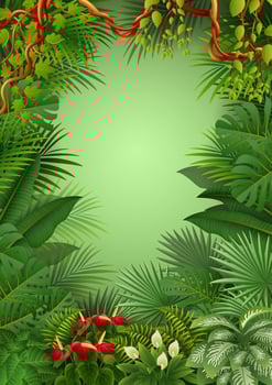 Vector illustration of Tropical jungle background