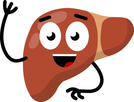 Healthy liver. Red internal human organ. Medicine and analysis. Cartoon flat illustration vector