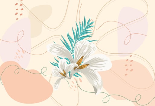 Hand drawn flat design boho wall art vector