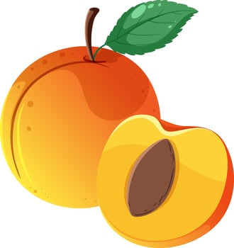 A full of peach and half of peach vector