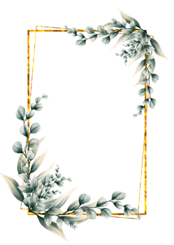 Eucalyptus leaves watercolor png