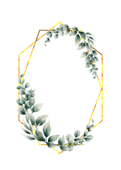 Eucalyptus leaves watercolor png
