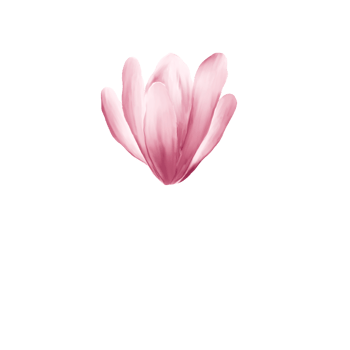 watercolor cherry blossoms png