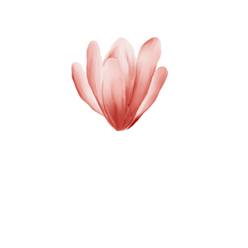 watercolor cherry blossoms png