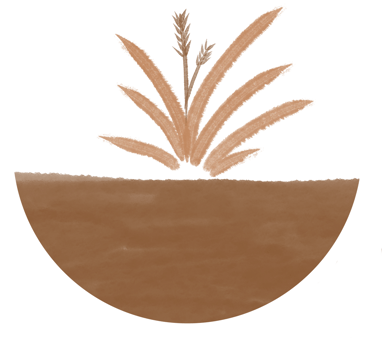 plant on ground boho style earth tone circle png