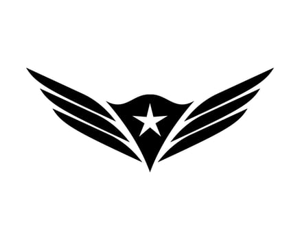 Vector illustration of a wing sign symbol. Can be used for anything related to flying, aviation, superhero, cargo, courier services