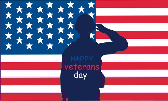 Happy veterans day America poster celebrate vector