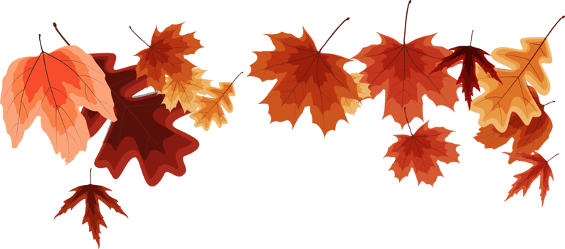 Autumn Falling Leaves Decoration Element png