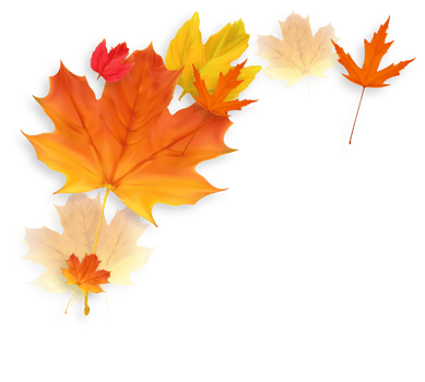 Autumn Falling Leaves Decoration Element png