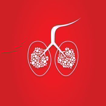 Lungs on a red background. Vector illustration