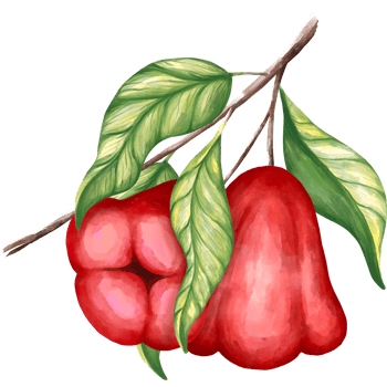 rose apple png