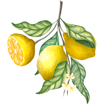 Lemon and leave png