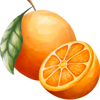 Orange fruit png