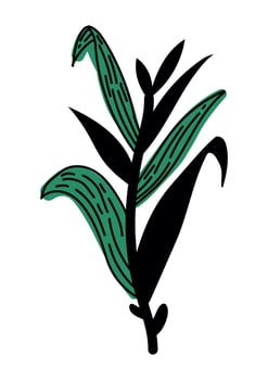 leafs garden plant foliage vector