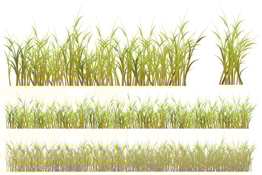 dry grass. brown grass set vector