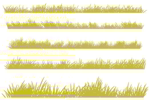 dry grass. brown grass set vector