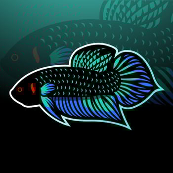 Betta fish mascot. esport logo design vector