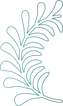 Silhouette drawing outline leave plant graphic design decoration background backdrop illustration png