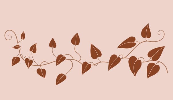 Simplicity ivy freehand drawing flat design. vector